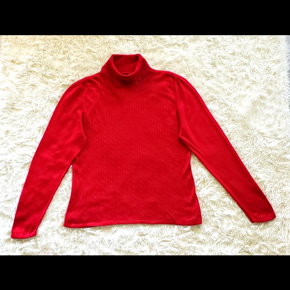 Karen Scott Sweater